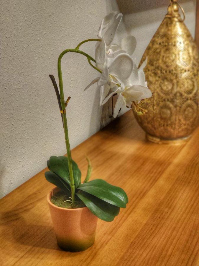 Namaste Apartment Aviles Bagian luar foto